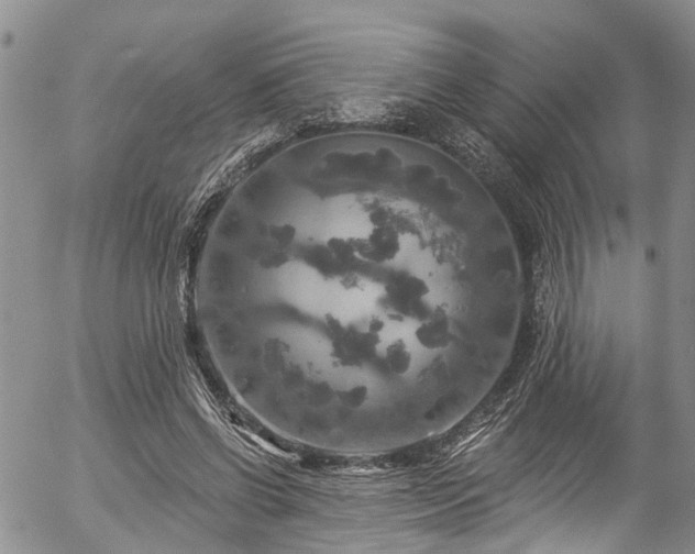 X0000057070542200509120849