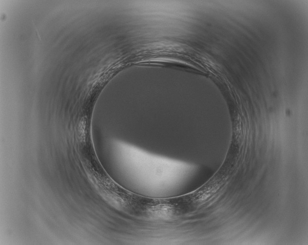 X0000057070551200509120850