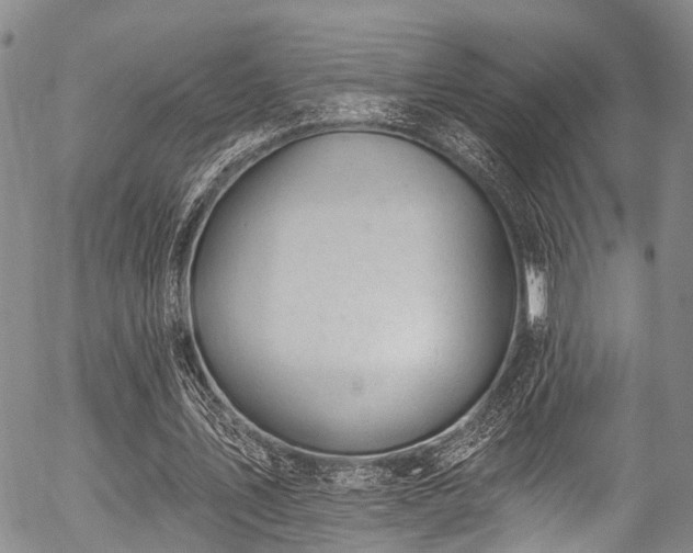 X0000057070579200509120849