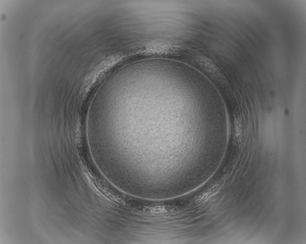X0000057070588200509120849