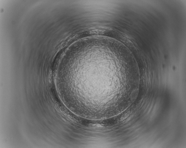 X0000057070649200509120848