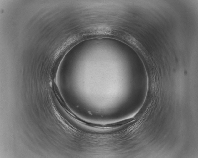 X0000057070677200509120848