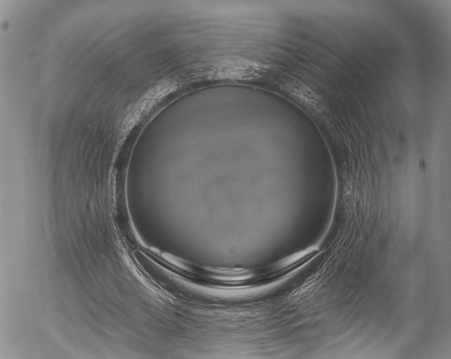X0000057070678200509120848
