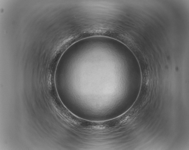 X0000057070692200509120847