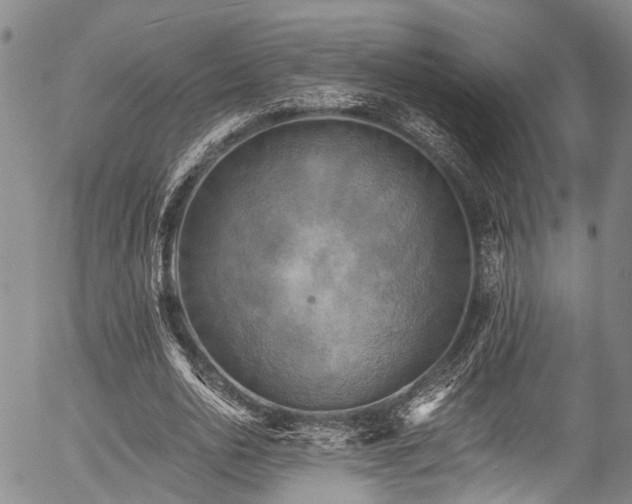 X0000057070726200509120846