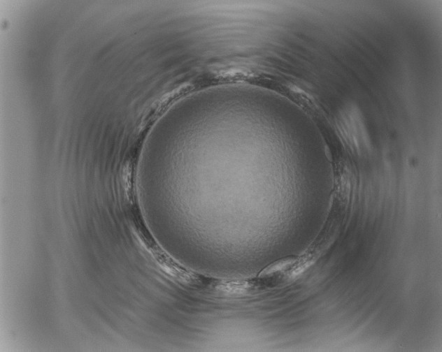 X0000057070767200509120847