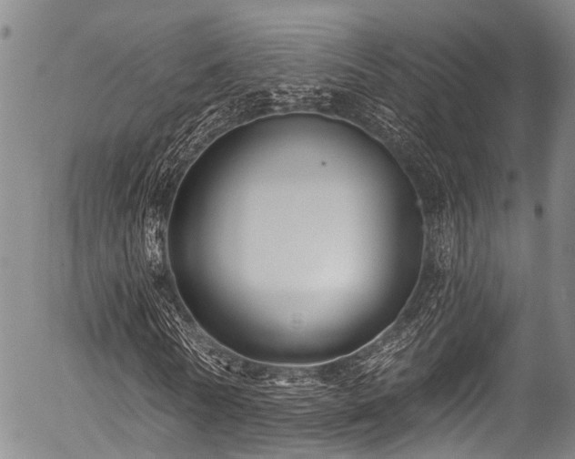 X0000057070770200509120846