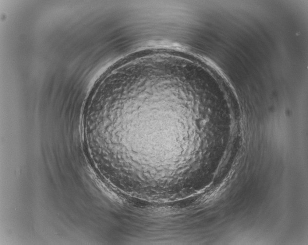 X0000057070791200509120846