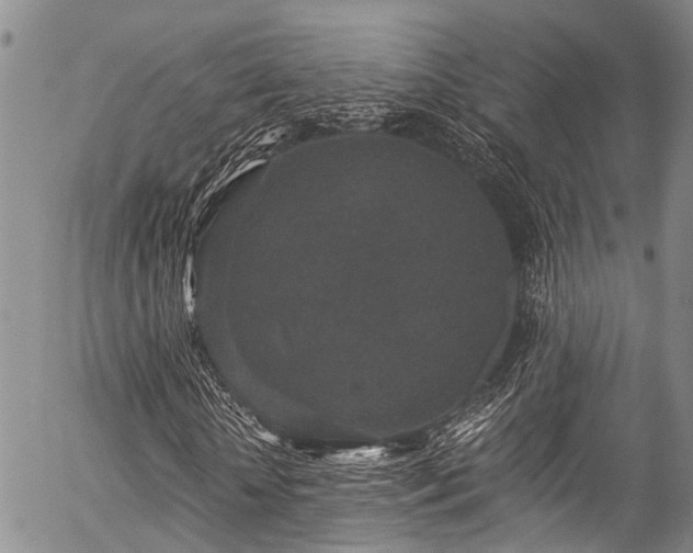 X0000057070818200509120844