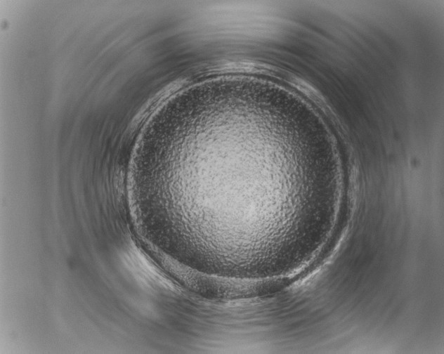 X0000057070849200509120845