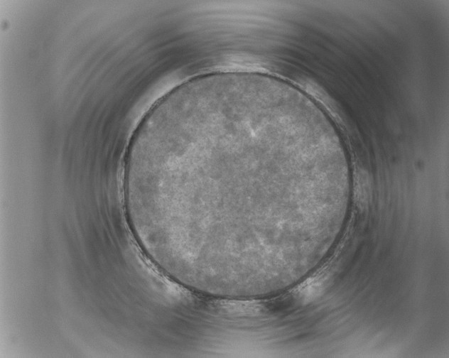 X0000057070856200509120845