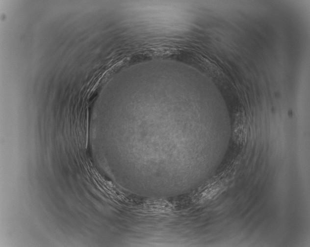 X0000057070866200509120844