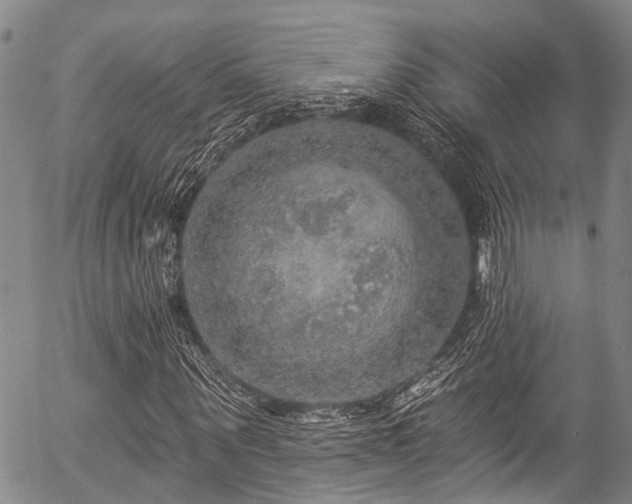 X0000057070867200509120844