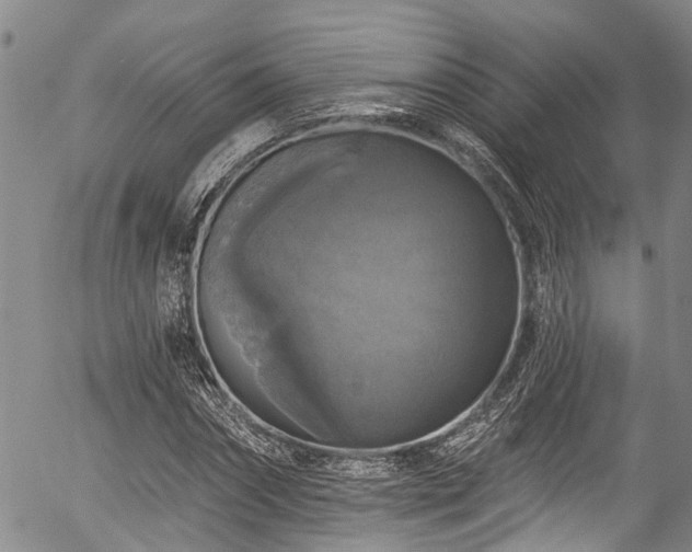 X0000057070874200509120844