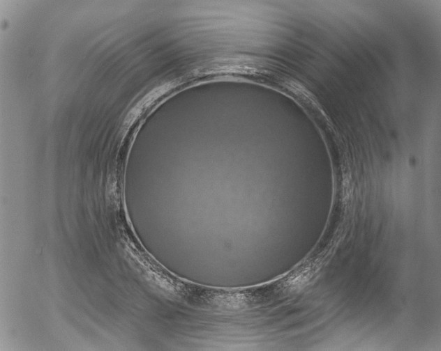 X0000057070882200509120844