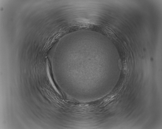 X0000057070916200509120843