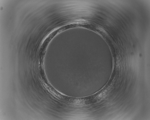 X0000057070923200509120843