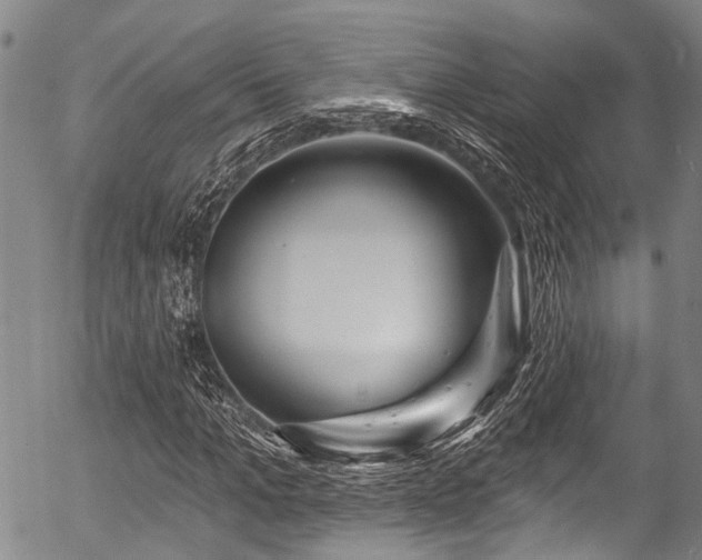 X0000057070965200509120843