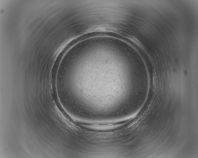 X0000057070972200509120843