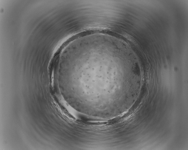 X0000057071022200509120841