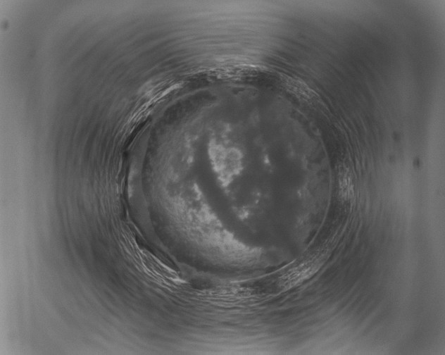 X0000057071060200509120841