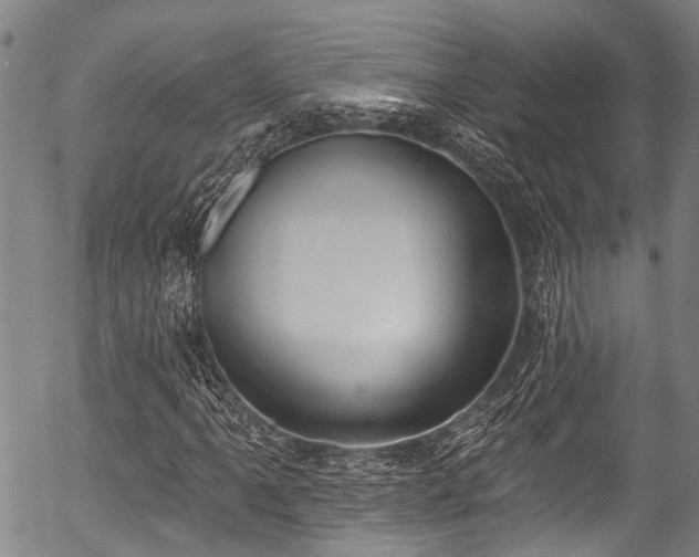 X0000057071061200509120841
