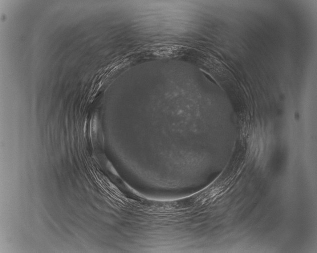 X0000057071106200509120840