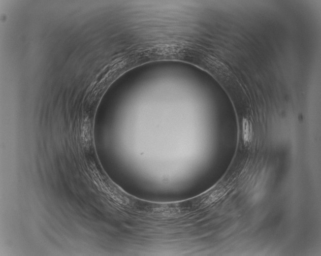 X0000057071107200509120840