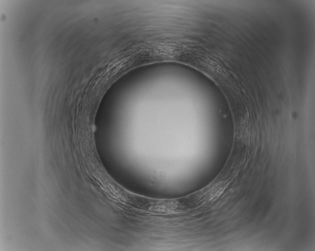 X0000057071201200509120838