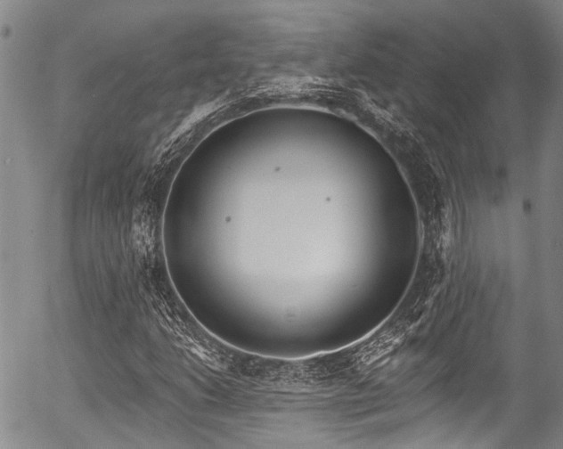 X0000057071206200509120838