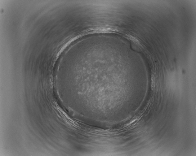 X0000057071212200509120838