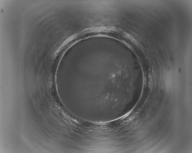 X0000057071213200509120838