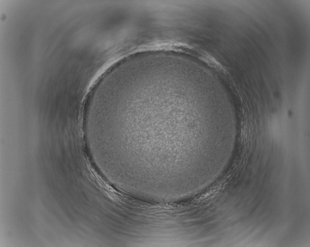 X0000057071216200509120838