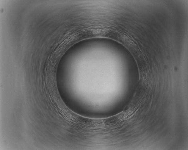 X0000057071249200509120838