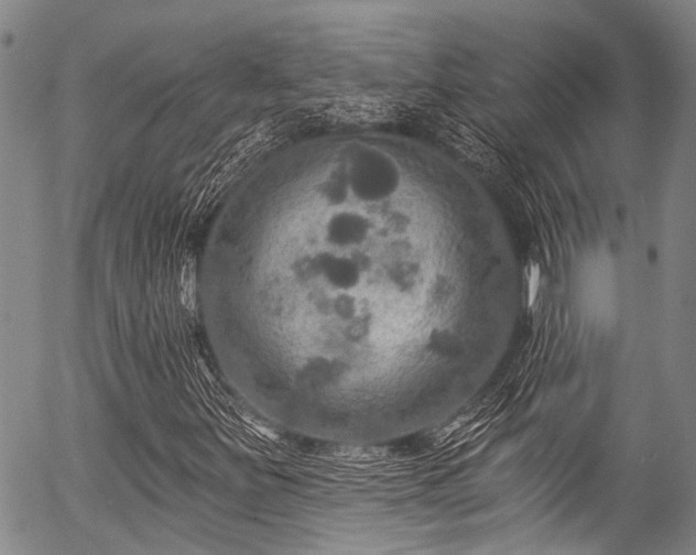 X0000057071251200509120838