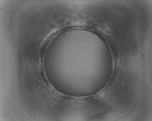 X0000057071254200509120838