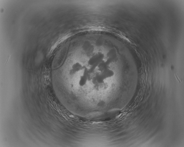 X0000057071255200509120838