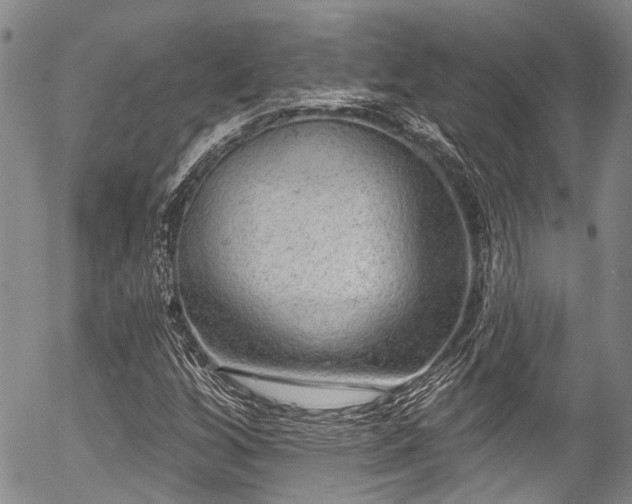 X0000057071256200509120838