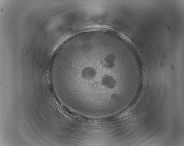 X0000057071259200509120838