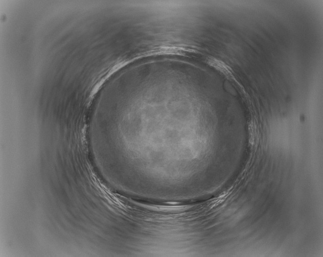 X0000057071260200509120838