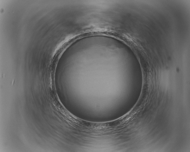 X0000057071262200509120838