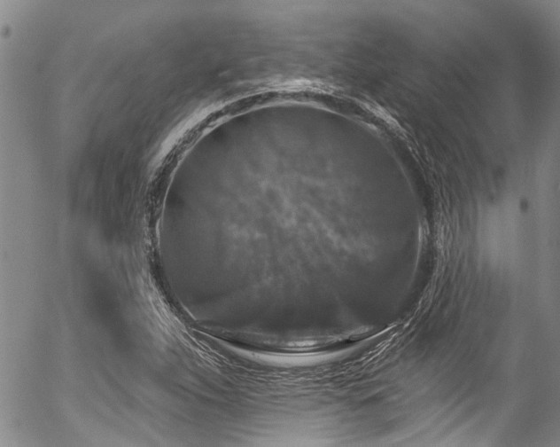 X0000057071263200509120838