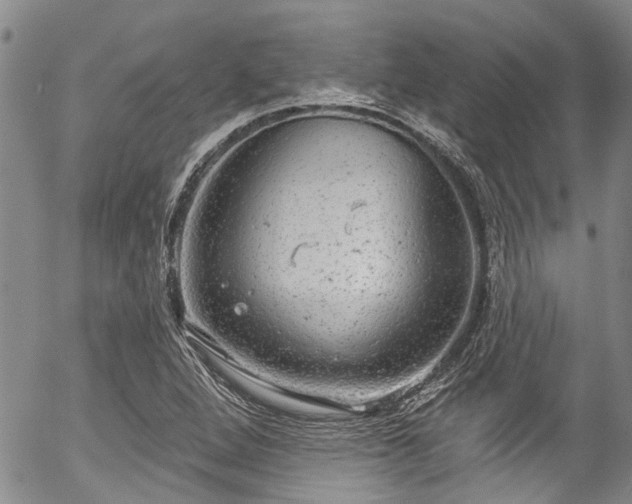 X0000057071264200509120838