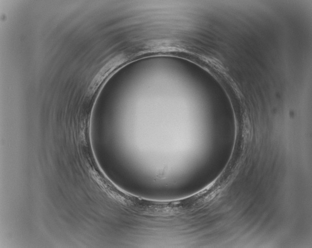 X0000057071273200509120838