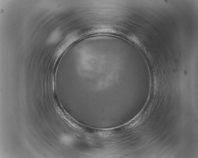 X0000057071274200509120838