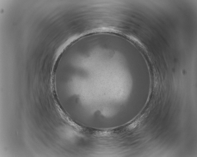 X0000057071278200509120838