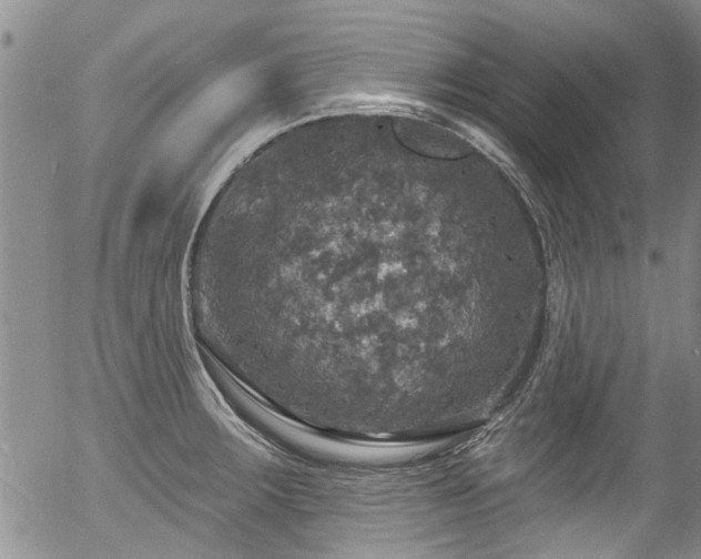 X0000057071283200509120838