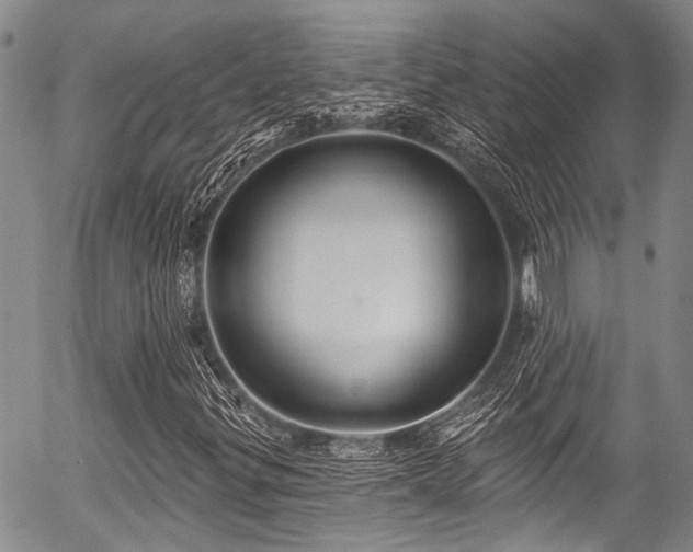 X0000057071299200509120837