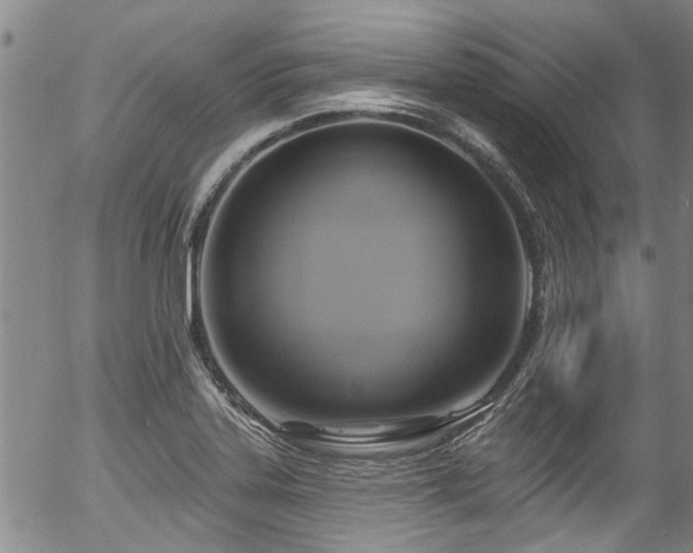 X0000057071323200509120837