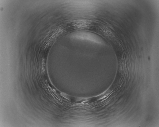 X0000057071346200509120837